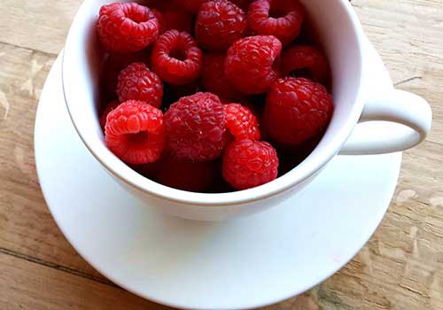 云呼免费网络电话